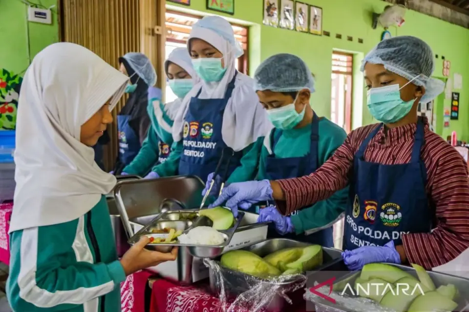 Alur SDMO BGN Resmi 2026, Prosedur Verifikasi Satuan Pelayanan dan Sistem Digital Badan Gizi Nasional