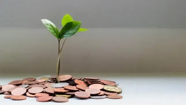 10 Aplikasi Penghasil Saldo DANA Gratis Resmi OJK Tanpa Modal, Tinjauan Regulasi dan Ketentuan Pencairan